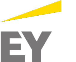 Ernst & Young (2007 – 2014) 